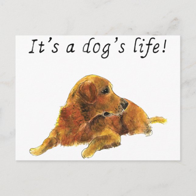 Hunde Leben Niedlich Golden Retriever Wasserfarbe  Postkarte (Vorderseite)