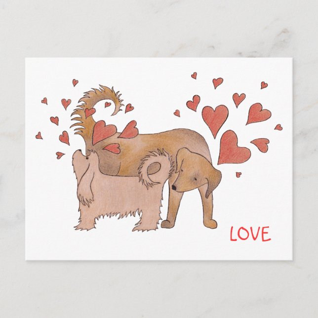 Hunde-Liebe Postkarte (Vorderseite)