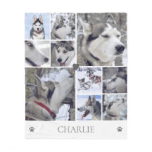 Hunde-Liebhaber Haustier-Foto-Collage