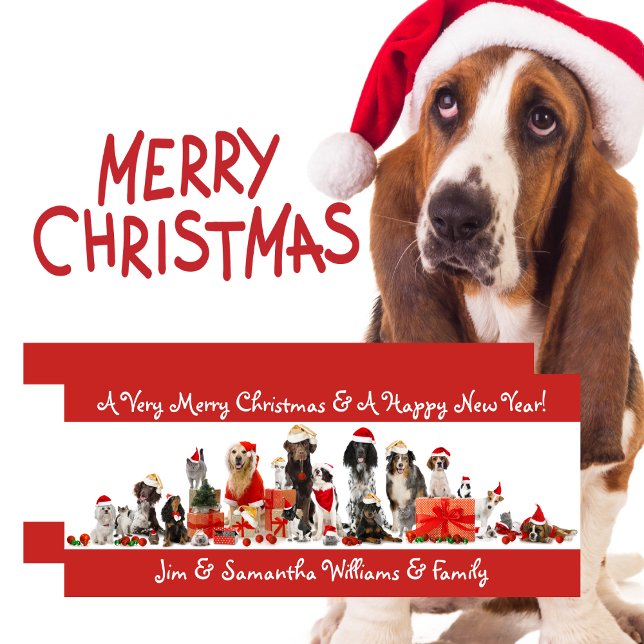 Hunde liebt frohe Weihnachtskarte Feiertagskarte (Dog Lovers - Merry Christmas Card)