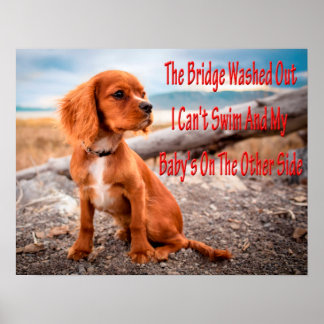 Hunde Meme Hunde Meme Humorere Fotos Poster