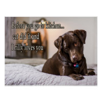Hunde Meme Hunde Meme Humorere Fotos