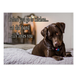 Hunde Meme Hunde Meme Humorere Fotos Poster