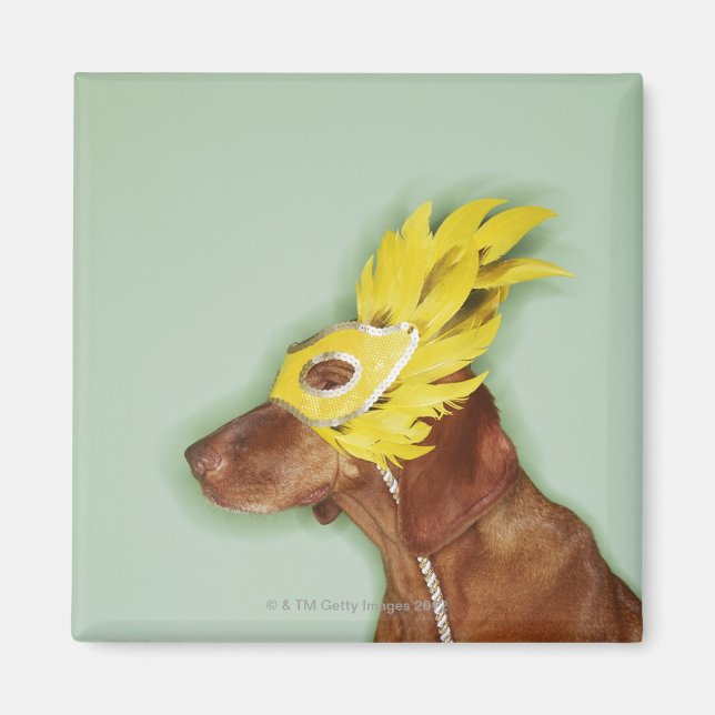 Hunde mit Maske Magnet (Vorne)