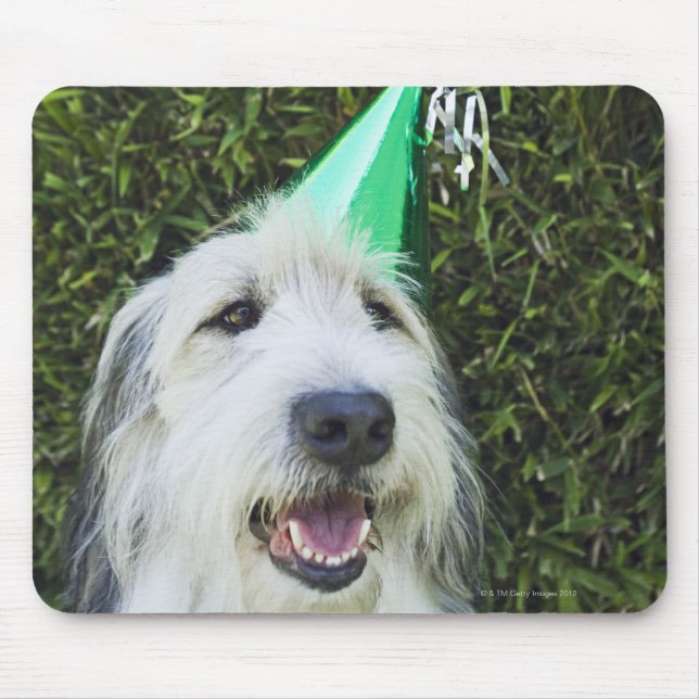 Hunde mit Party-Hut Mousepad (Vorne)