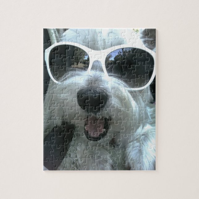 Hunde mit Sonnenbrille (Vertikal)
