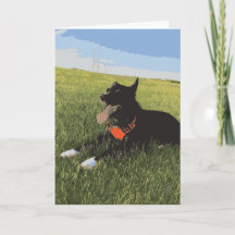 Hunde mit Zunge, die sich im Feld niederschlägt