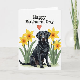 Hunde Muttertagskarte Karte