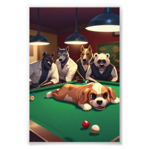 HUNDE NACHT AUSSERHALB FOTODRUCK