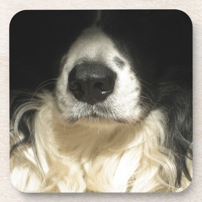 Hunde Nase nah Getränkeuntersetzer (Vorderseite)