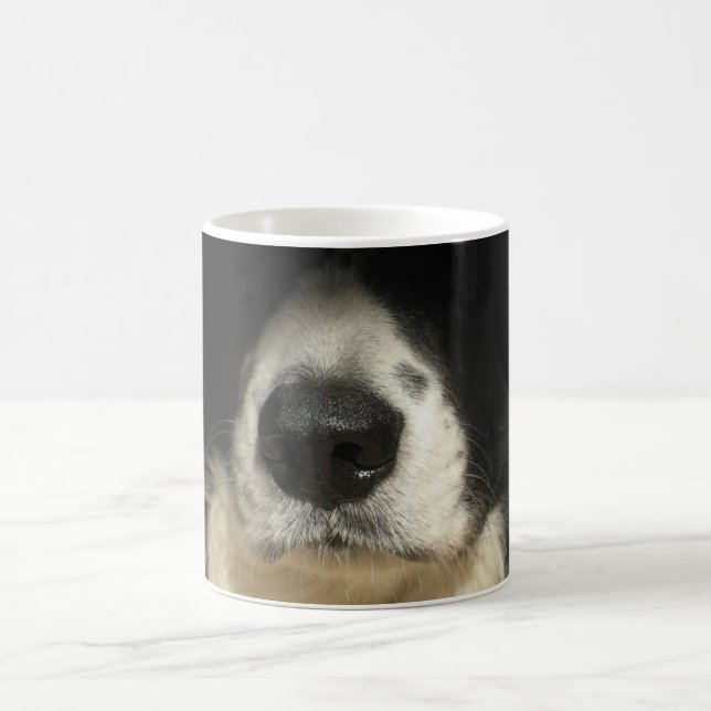 Hunde Nase nah Kaffeetasse (Mittel)