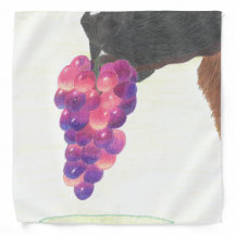 Hunde Nase und Traube