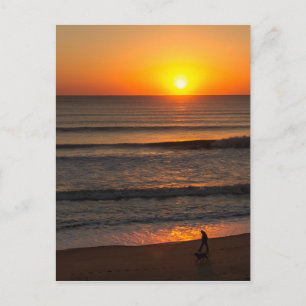 Hunde OBX laufen Postkarte