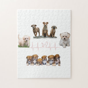 Hunde-Paket, Funny Dogs-Paket