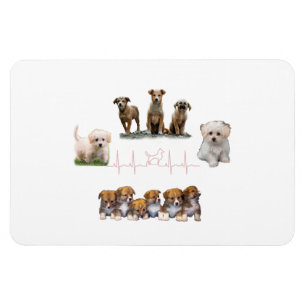 Hunde-Paket, Funny Dogs-Paket Magnet