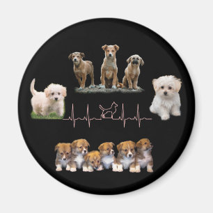 Hunde-Paket, Funny Dogs-Paket Magnet