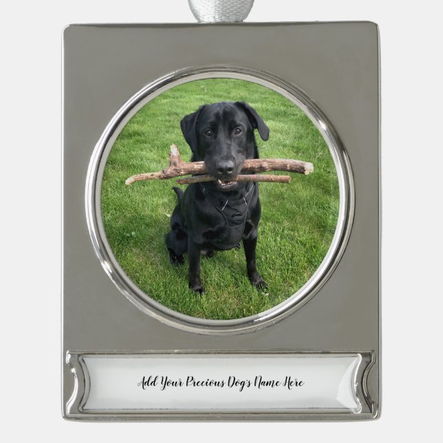 Hunde Personalisierter Name und Foto Banner-Ornament Silber (Vorderseite)