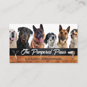 Hunde Pflegewerkzeuge Visitenkarte