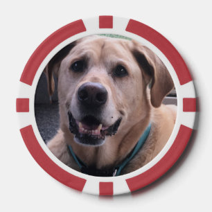 Hunde-Poker-Chips Pokerchips