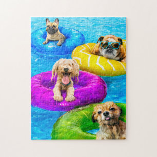 Hunde-Poolparty