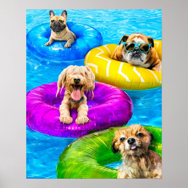 Hunde-Poolparty Poster (Vorne)