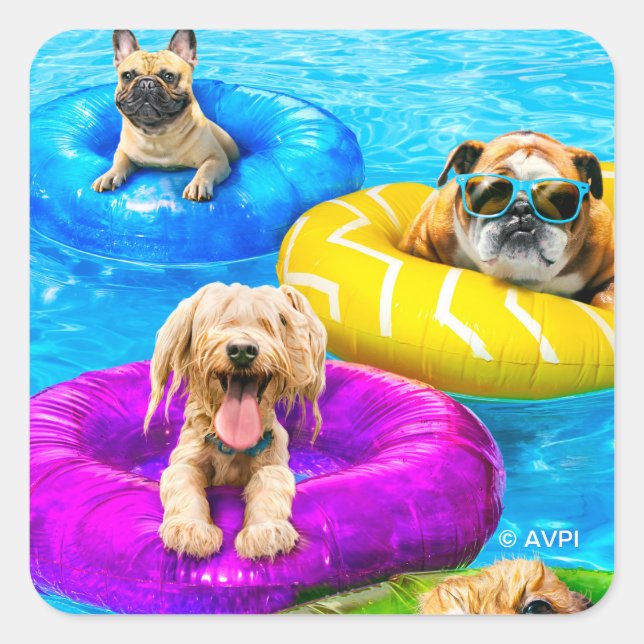 Hunde-Poolparty Quadratischer Aufkleber (Vorderseite)