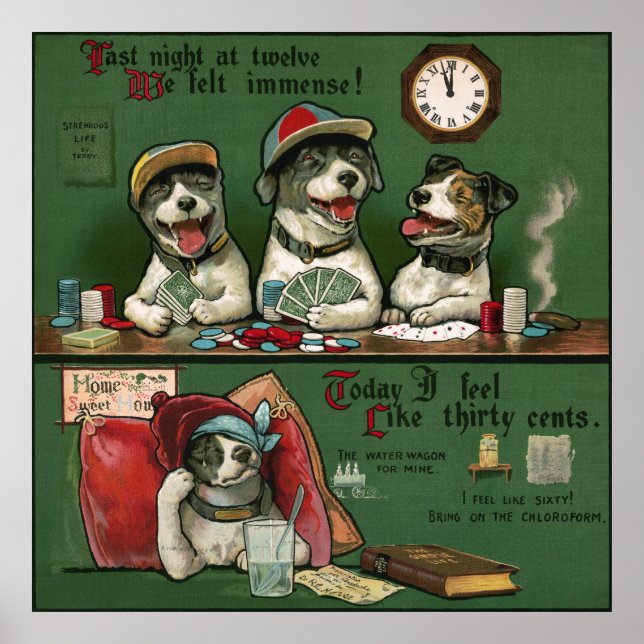 Hunde Poster (Vorne)