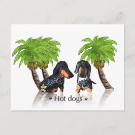 Hunde Postkarte