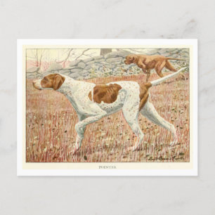 Hunde Postkarte