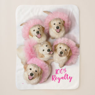 Hunde Prinzessin in Tiaras Sherpadecke