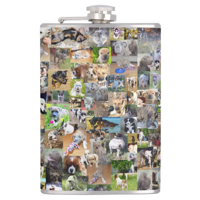 Hunde-Rassen-FotoCollage, Flachmann (Vorderseite)