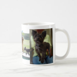 Hunde-Regel-Tasse Kaffeetasse