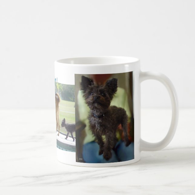 Hunde-Regel-Tasse Kaffeetasse (Rechts)