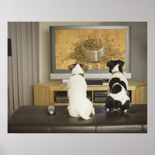 Hunde schauen Hundegericht mit Essen im Fernsehen Poster