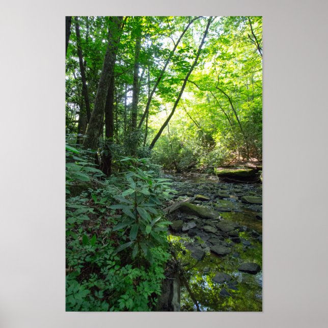 Hunde-Schlachthof, Kentucky Poster (Vorne)