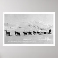 Hunde Schlitten Champions Alaska 1910