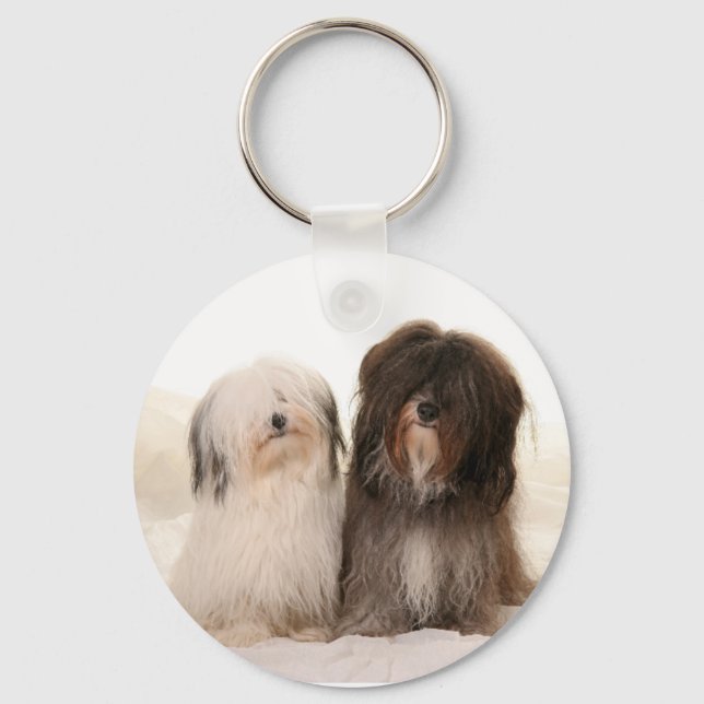 Hunde Schlüsselanhänger (Vorderseite)