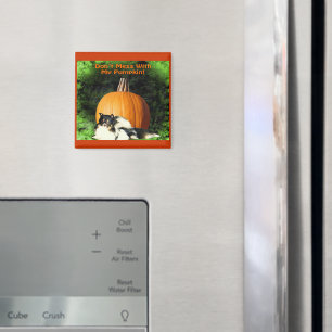 Hunde Schutz großer Pumpkin Magnet