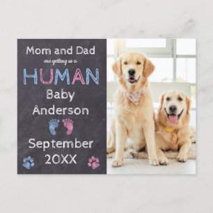 Hunde Schwangerschaft Ankündigung Postkarte