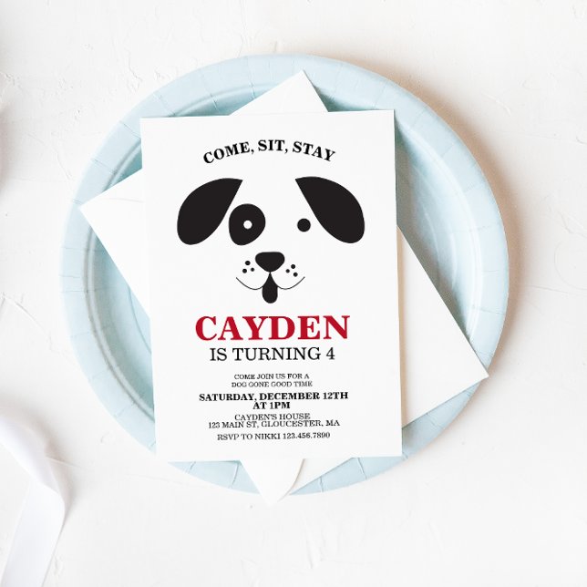 Hunde schwarz-weiße Flecke Geburtstag Einladung (Von Creator hochgeladen)