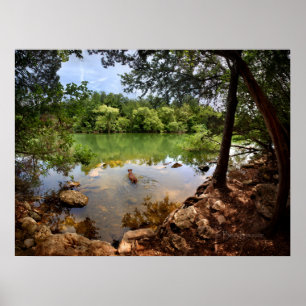 Hunde schwimmen Ladybird Lake 2 - Austin Texas Poster