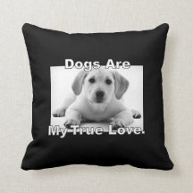 Hunde sind meine wahre Liebe