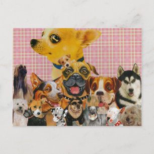Hunde sind Spaß Postkarte