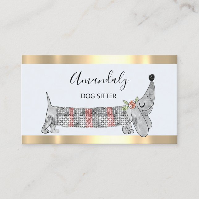 Hunde Sitter Boutique Mode-Mode Pflegesaal Silber Visitenkarte (Vorderseite)