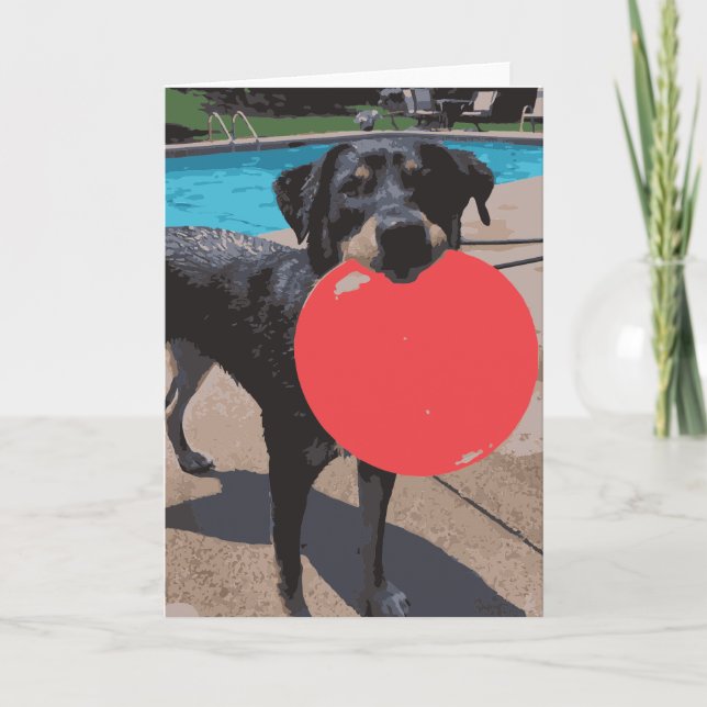 Hunde spielen Frisbee Schwimmbad Karte (Vorderseite)