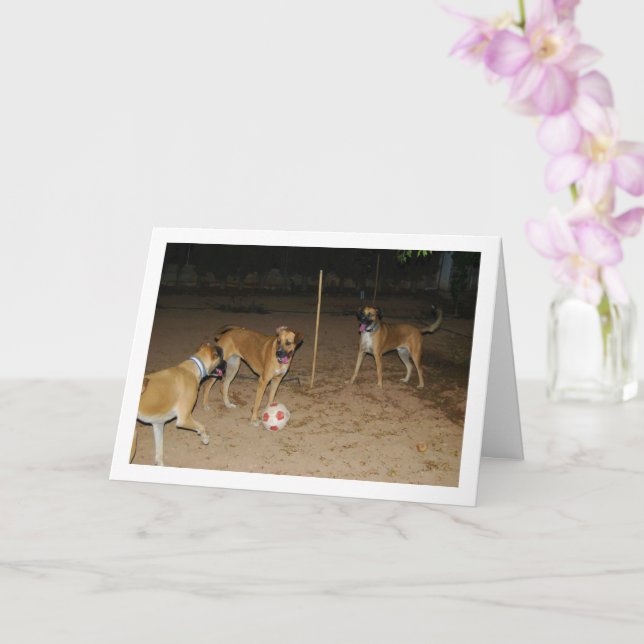 Hunde spielen nachts Fußball Karte (Orchidee)