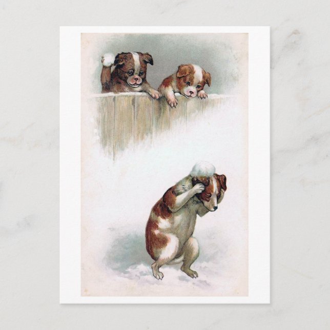 "Hunde spielen Snowballs" Vintag Postkarte (Vorderseite)