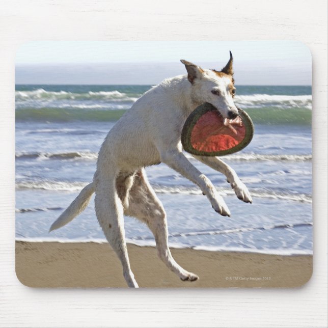 Hunde springen, um einen Schmutz am Strand zu fang Mousepad (Vorne)