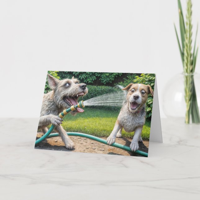 Hunde sprühen Wasser mit Gartenschlauch Karte (Vorderseite)