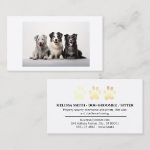 Hunde Tierpflege Visitenkarte
